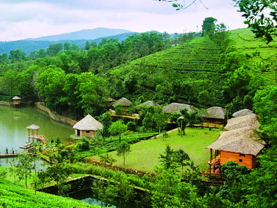 private tours in Wayanad