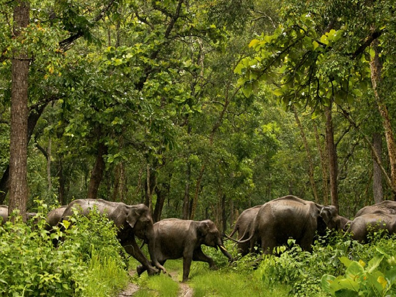 madurai to wayanad tour packages
